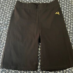 Tracksmith shorts